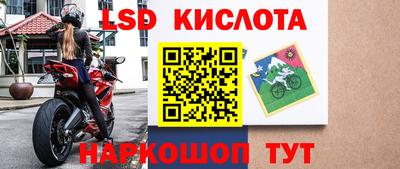 гидра Будённовск