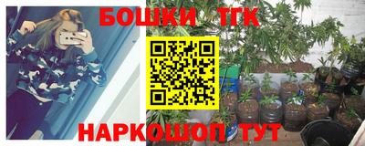 гидра Будённовск