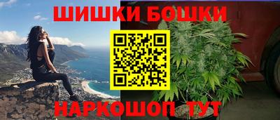 гидра Будённовск