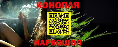 гидра Будённовск