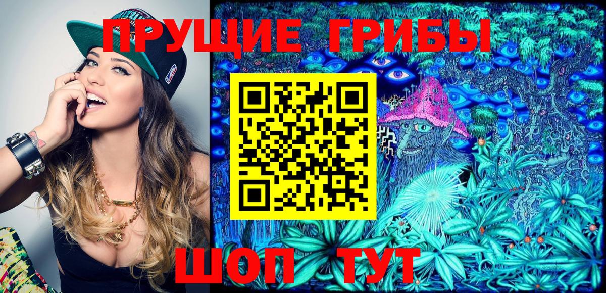 Псилоцибиновые грибы Cubensis Майкоп