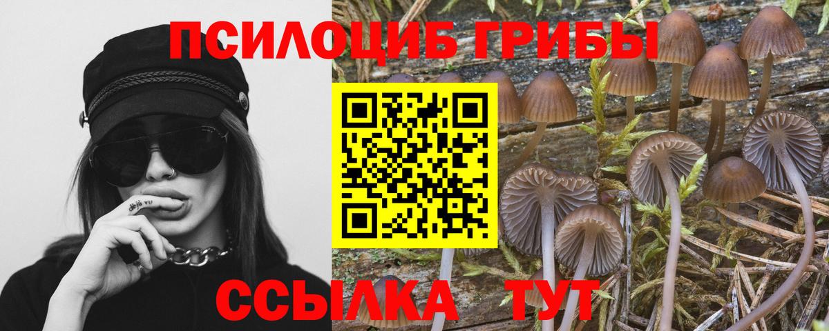 Галлюциногенные грибы Magic Shrooms  Вход с VPN  Майкоп 